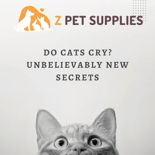 Do Cats Cry Unbelievably New Secrets