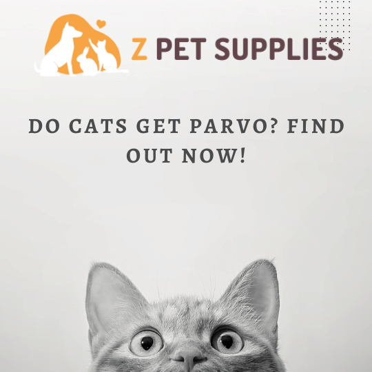 Do Cats Get Parvo Find Out Now!