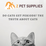 Do Cats Get Periods The Truth About Cats